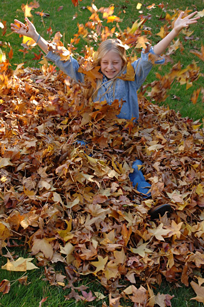 Autumn Leaves