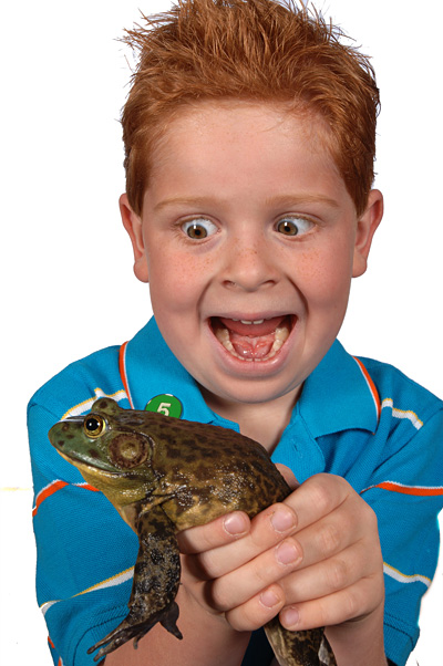 Bullfrog