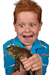 Bullfrog