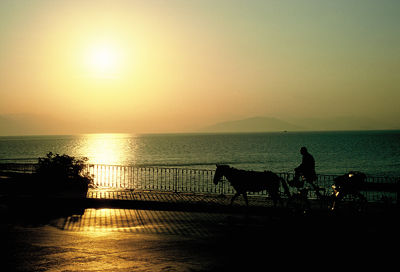 sunset carriage